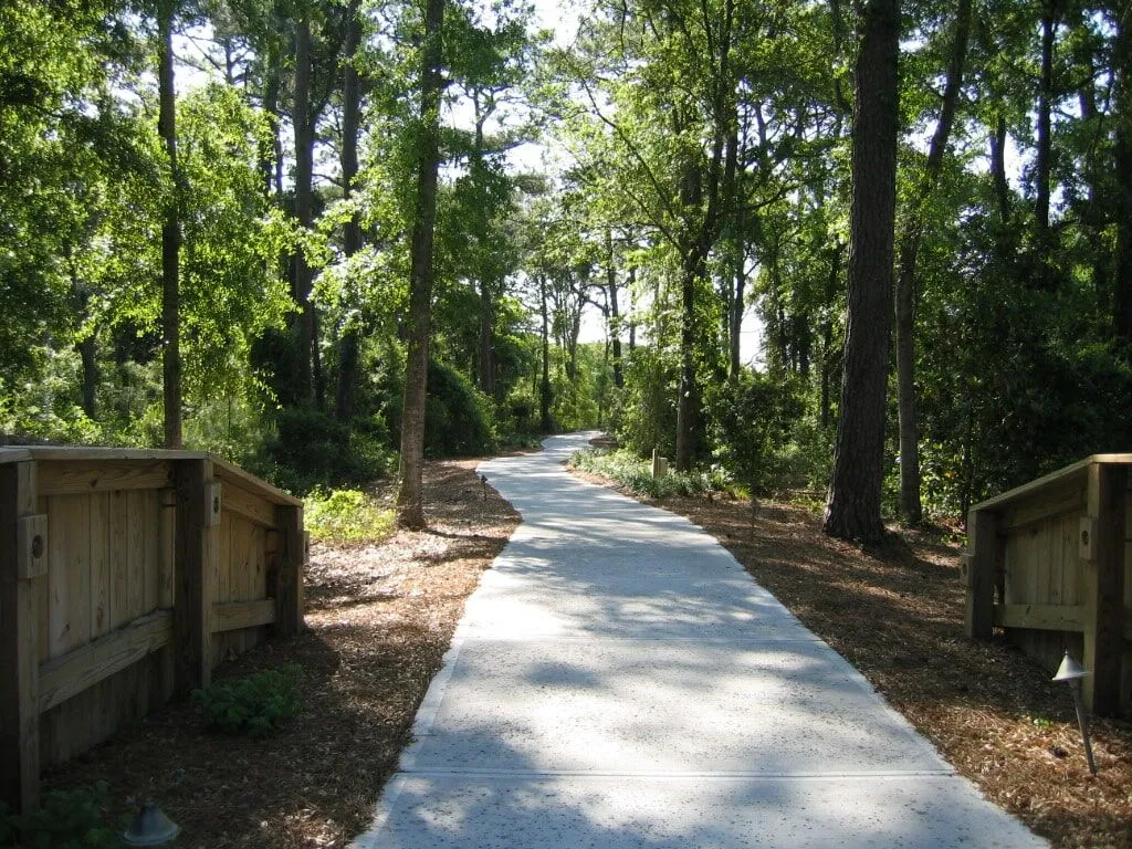 Beach-Pathway to Beach Access-Emply-Hi-min