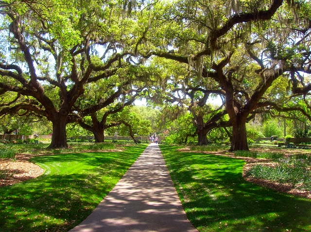 brookgreen gardens, honeymoon package, romance package