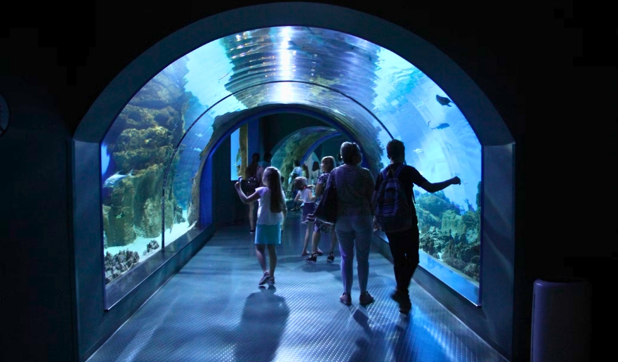 People walking through a glass tunnel surrounded by colorful fish at Ripley's Aquarium in Myrtle Beach.