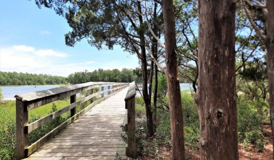 A peaceful boardwalk through the woods, offering a serene escape for couples during their romantic getaway.