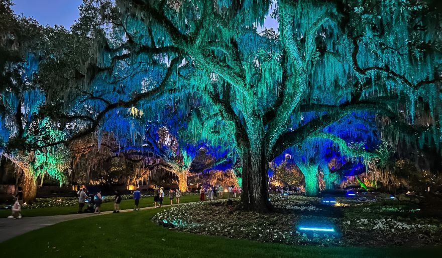 The tourists enjoy visiting the Brookgreen Gardens during nighttime