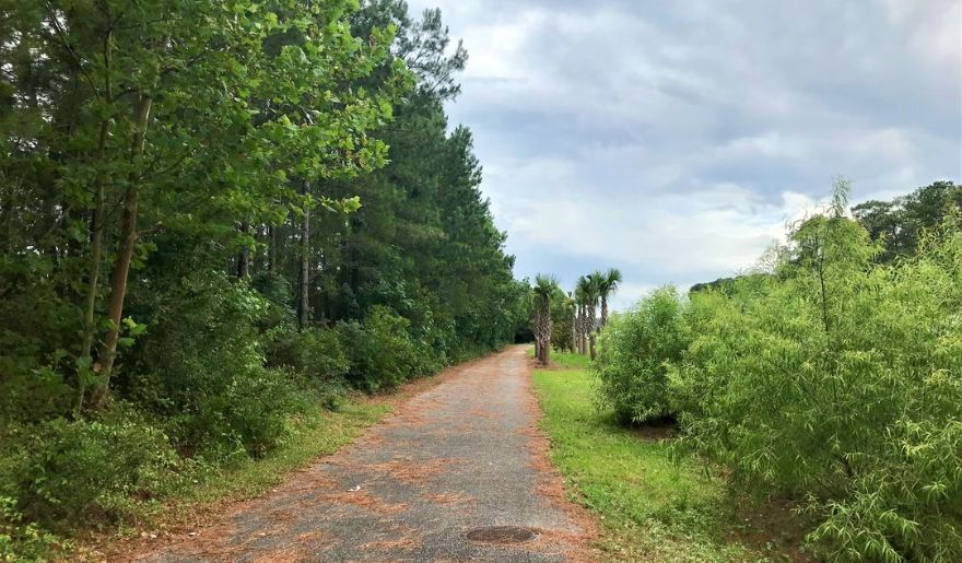 A serene paved path winding through a lush forest, inviting hikers to explore Myrtle Beach Hiking Trails.