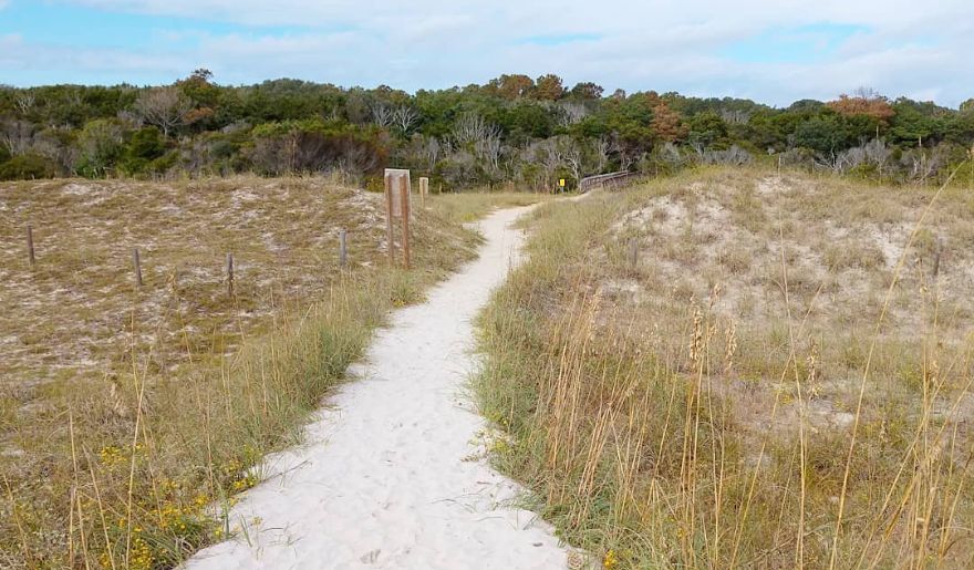 A scenic path leading to a sandy beach, bordered by lush grass, showcasing the beauty of Huntington Beach State Park.