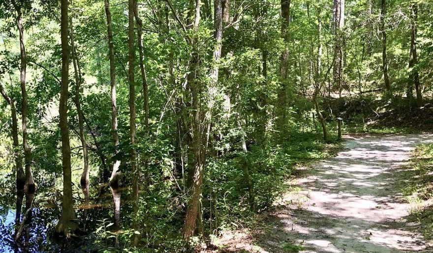 A serene path through the woods at Vereen Memorial Historical Gardens, flanked by trees and a gentle stream of water.