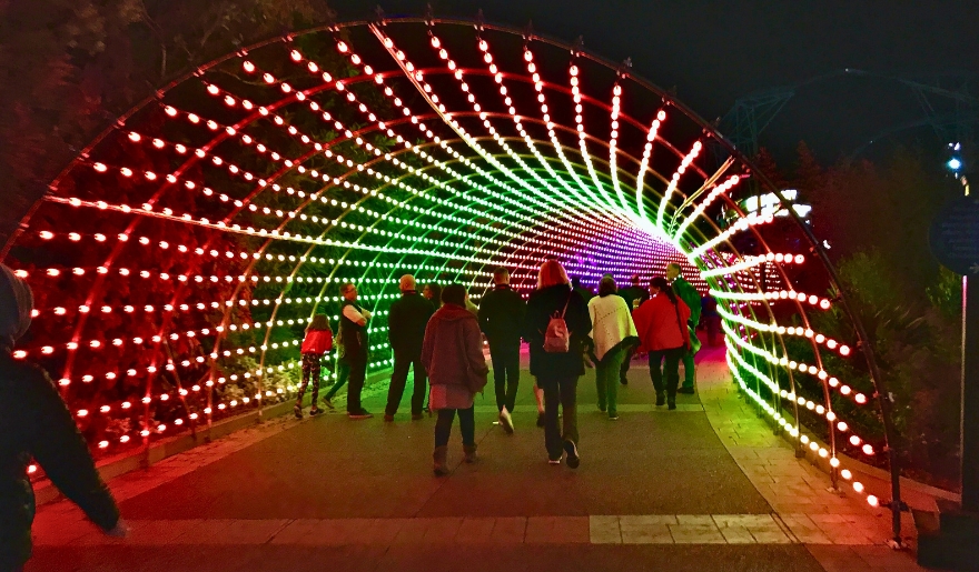 Visitors walk through a festive tunnel adorned with colorful lights at the Myrtle Beach Christmas Light Show.