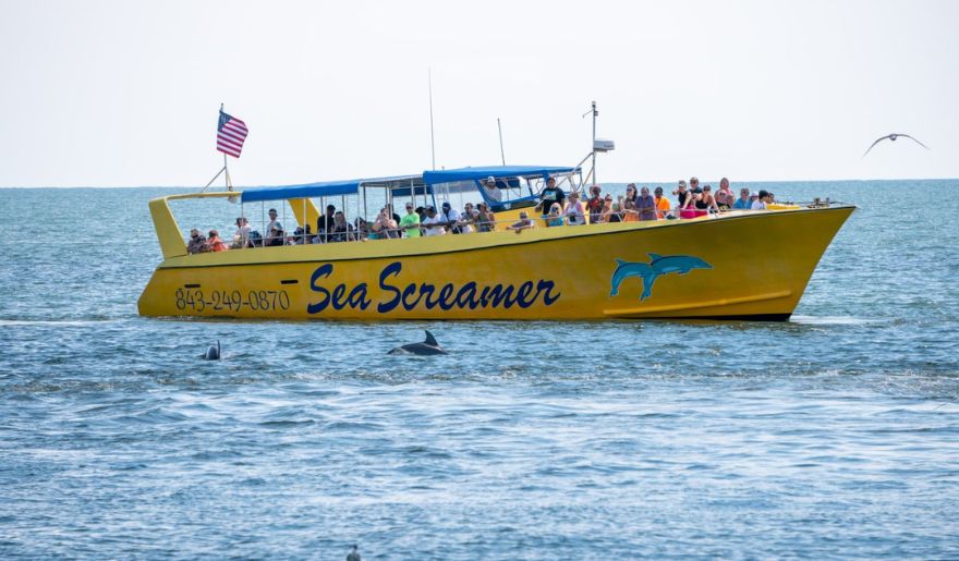 A yellow boat filled with people glides through the ocean, enjoying a dolphin watching cruise along the coast.