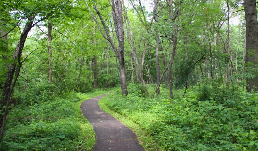 Scenic paved trail surrounded by trees, located in the Myrtle Beach Bike Trails – A-10 Trail at Market Commons.