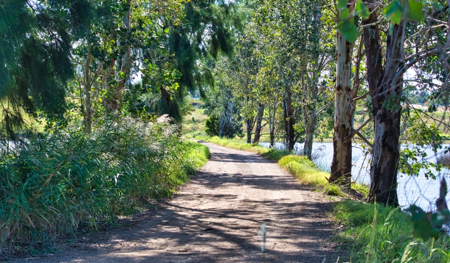 A dirt path leads to a river surrounded by trees, part of the Myrtle Beach Bike Trails on the East Coast Greenway.