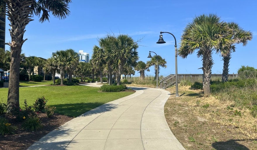A scenic walkway lined with palm trees and grass at Myrtle Beach Bike Trails, near the Boardwalk and Promenade.