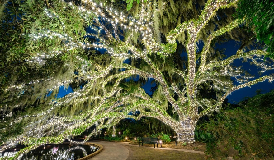 A large tree adorned with lights stands prominently in the Brookgreen Gardens, showcasing the Summer Light: Art by Night event in Myrtle Beach.