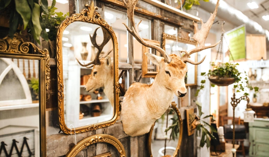 A mounted deer head on a wall reflects in a mirror, showcasing a vintage aesthetic for Myrtle Beach Events.