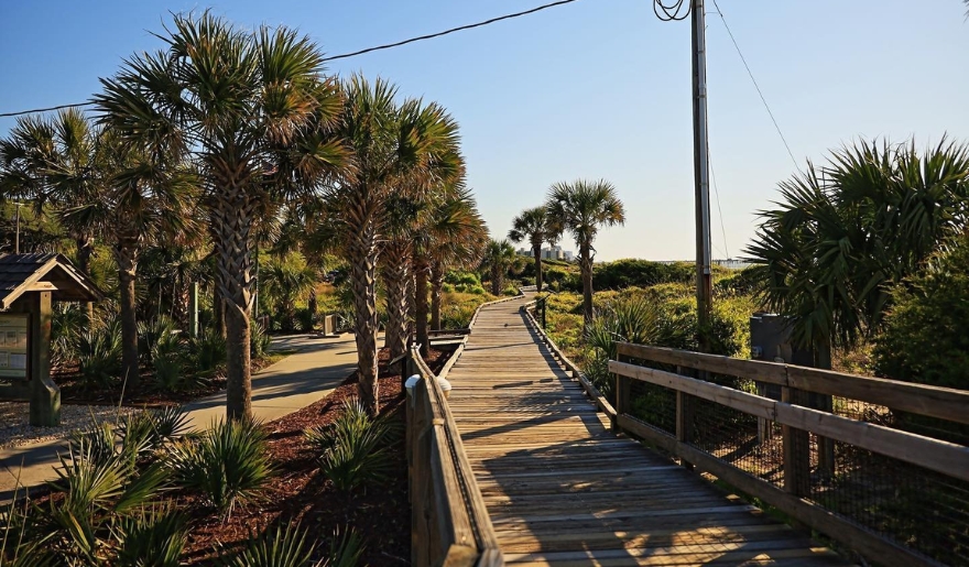 A scenic wooden boardwalk leads to a beach surrounded by palm trees, showcasing the beauty of South Carolina State Park during spring.