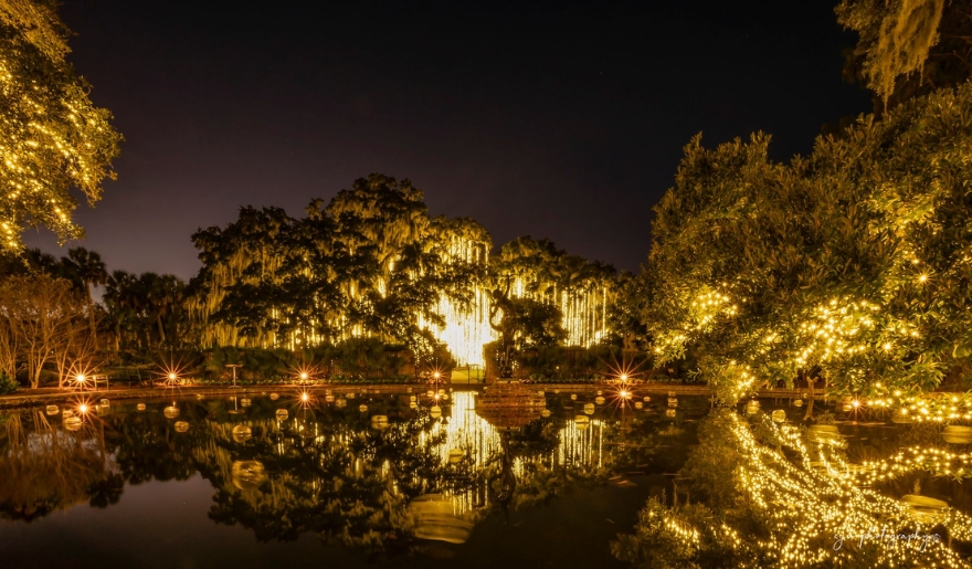 Night view of a pond at Brookgreen Gardens, Myrtle Beach, with trees and decorative lights creating a tranquil atmosphere.