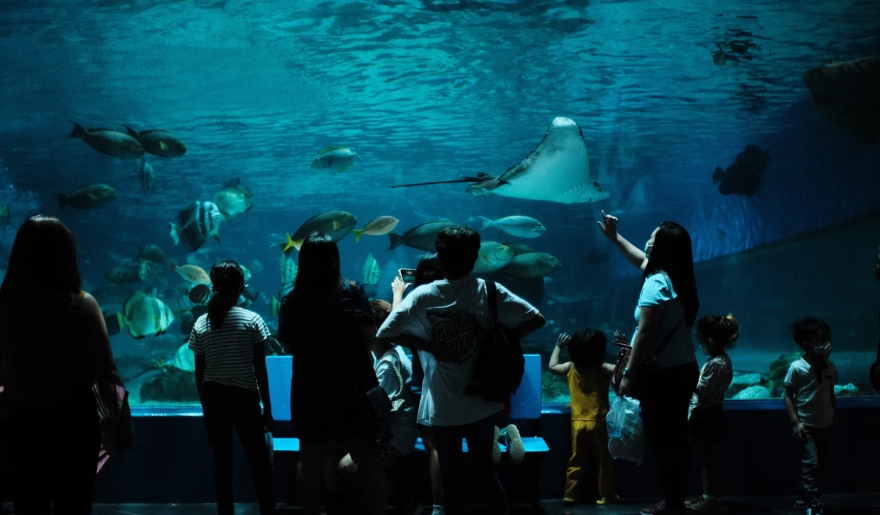 Visitors admire colorful fish and marine life at Ripley’s Aquarium in Myrtle Beach during a sunny June day.
