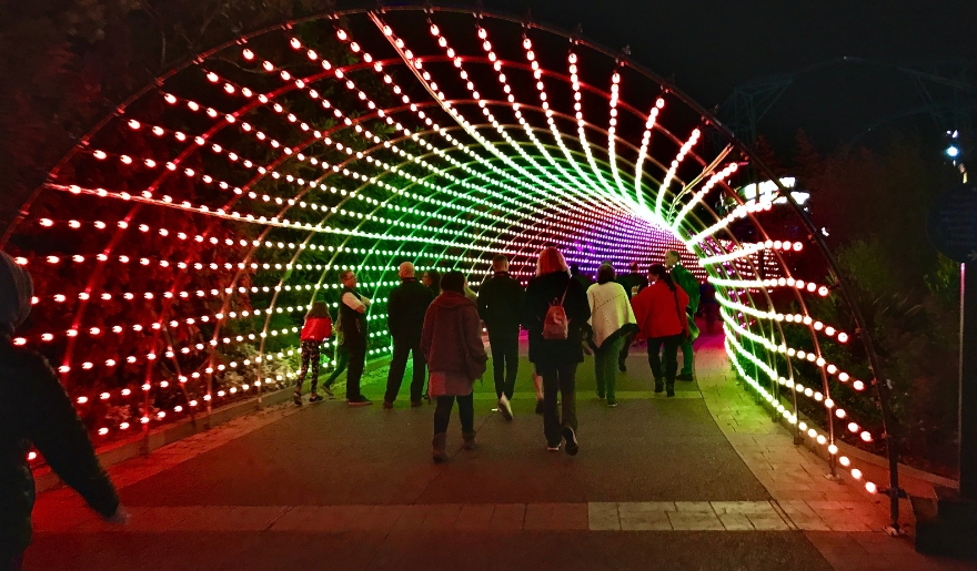 Visitors walk through a festive tunnel adorned with colorful lights at The Great Christmas Light Show in Myrtle Beach.