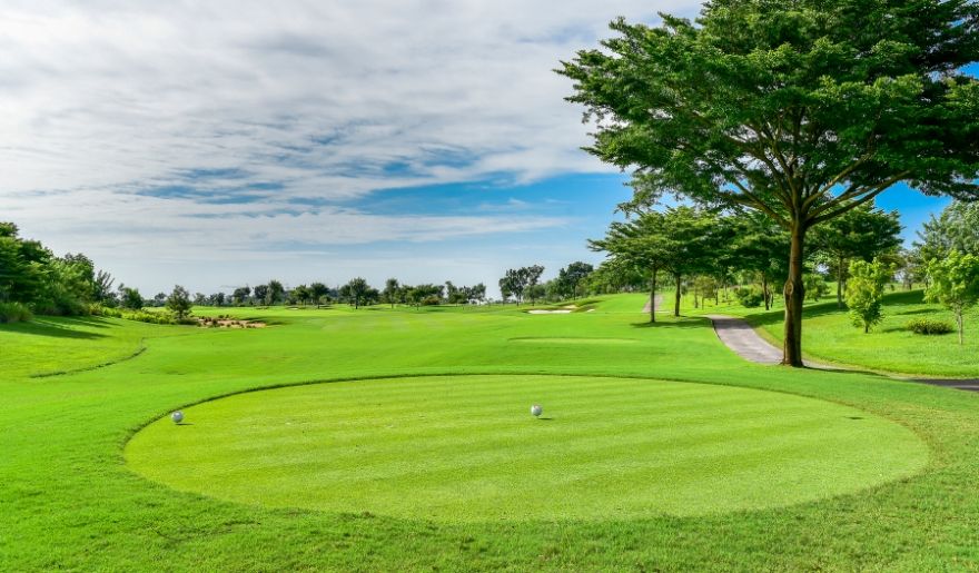 Lush green golf course with a tee-off area in the foreground, creating a serene atmosphere, part of Myrtle Beach Group Golf Packages.