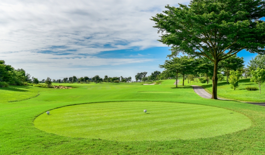 Lush green golf course with a tee-off area in the foreground, creating a serene atmosphere, part of Myrtle Beach Group Golf Packages.