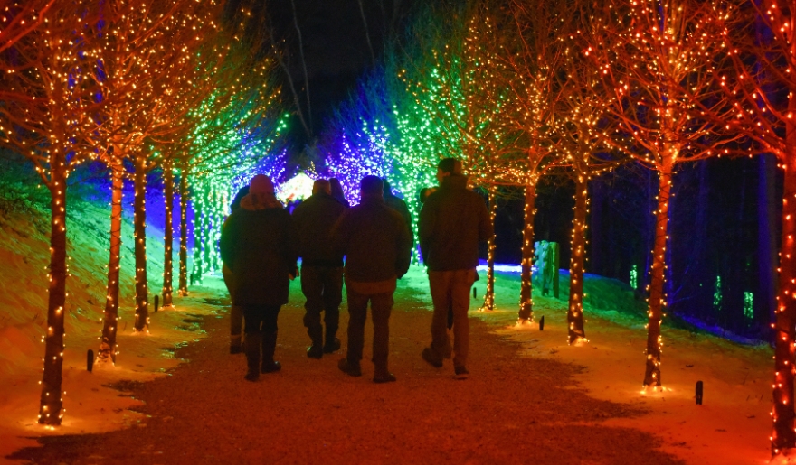 People stroll through a vibrant tunnel of colorful lights at the Myrtle Beach Christmas Light Show.