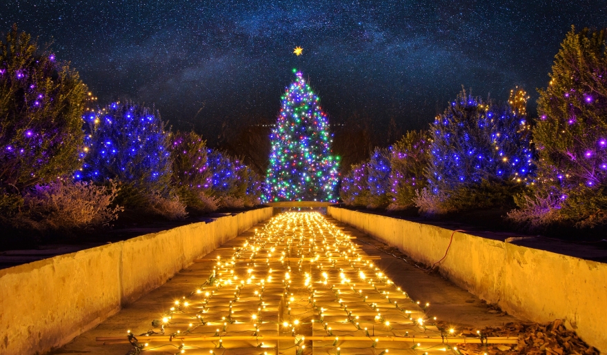 A candlelit pathway with a tree in the background, showcasing the Myrtle Beach Christmas Lighting of the Landing celebration.