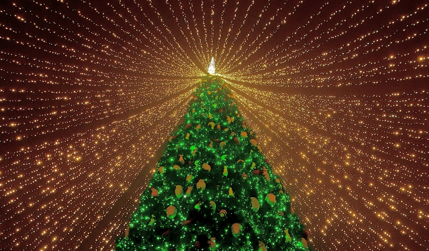 A Christmas tree glowing with green lights, featured in the North Myrtle Beach Annual Tree Lighting celebration.