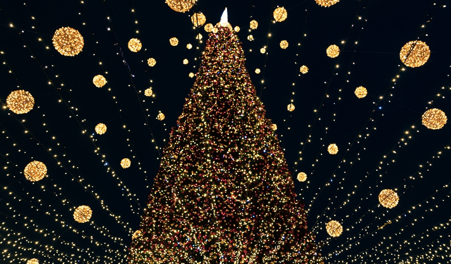 Christmas Tree Lighting on the Boardwalk