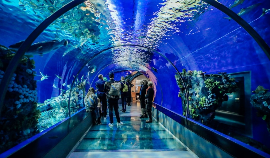 Visitors walk through an underwater tunnel at Ripley’s Aquarium in Myrtle Beach, observing various fish in January.