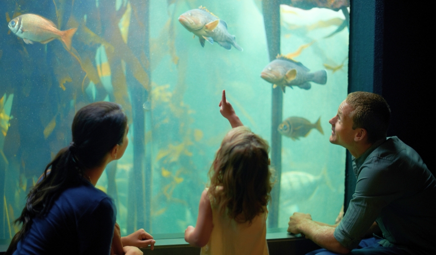 A family enjoys watching fish in an aquarium, capturing a moment of fun at Myrtle Beach in March.