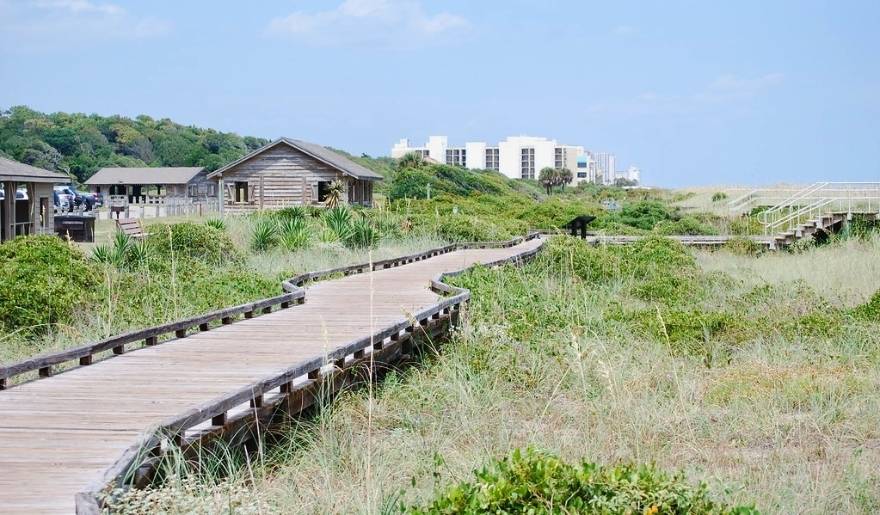 Wooden boardwalk trail through Myrtle Beach State Park with coastal greenery