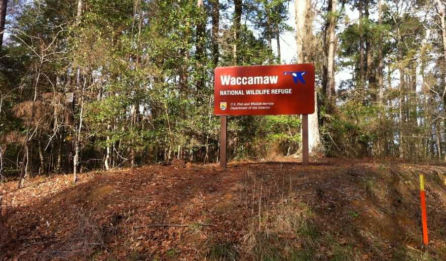 Entrance sign for Waccamaw National Wildlife Refuge surrounded by forest and natural hiking trails