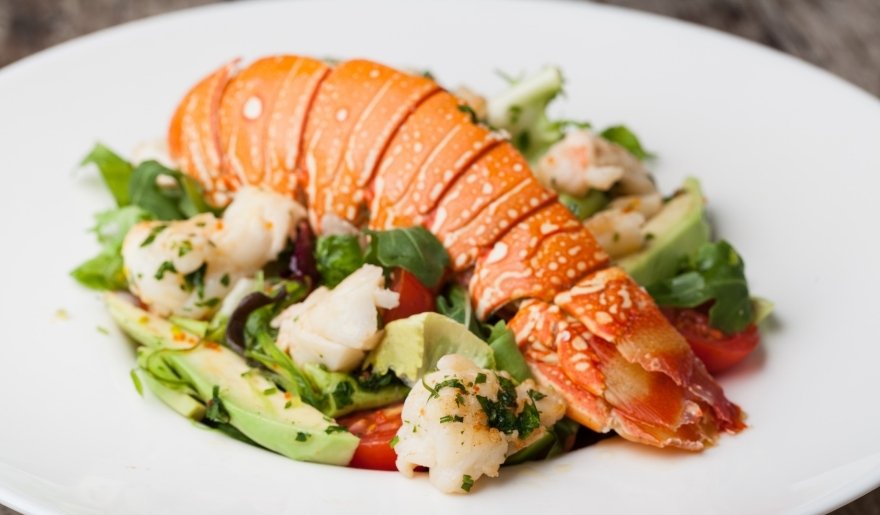 Lobster tail with fresh greens, avocado, and seafood salad on plate