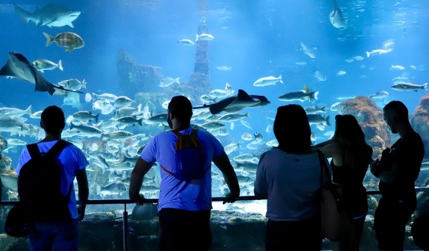 Visitors exploring marine life exhibits at Ripley’s Aquarium during Myrtle Beach 7 Day Itinerary