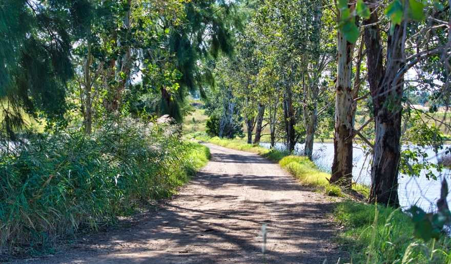 A dirt path leads to a river surrounded by trees, part of the Myrtle Beach Bike Trails on the East Coast Greenway.