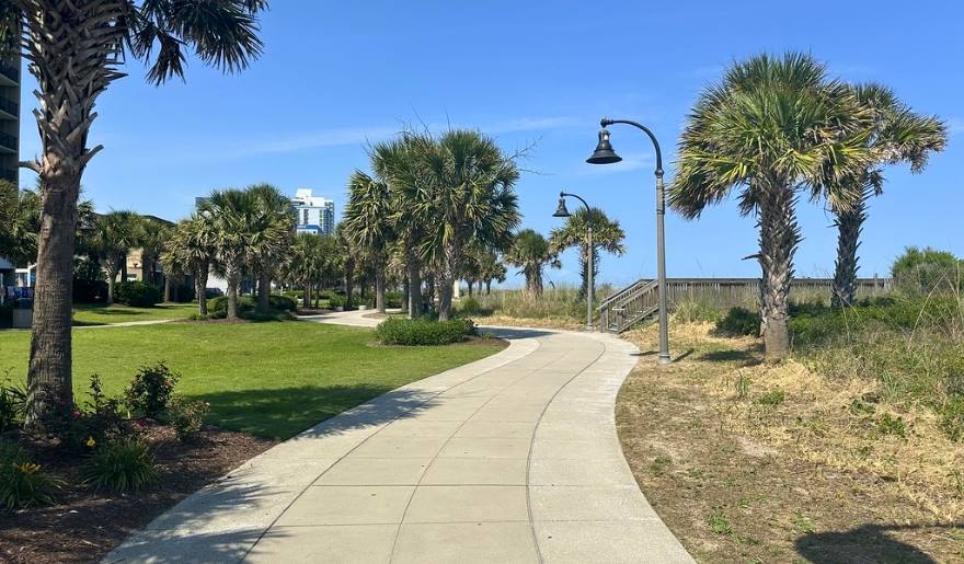 A scenic walkway lined with palm trees and grass at Myrtle Beach Bike Trails, near the Boardwalk and Promenade.