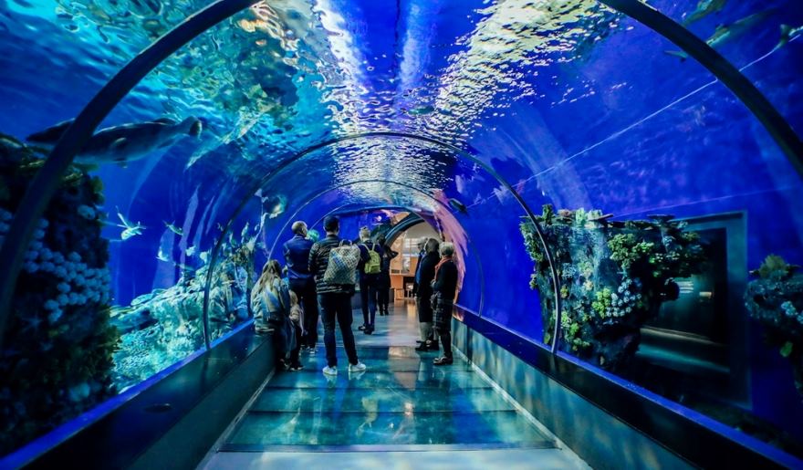 Visitors walk through an underwater tunnel at Ripley’s Aquarium in Myrtle Beach, observing various fish in January.