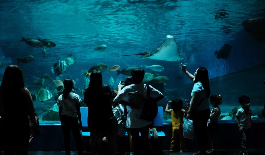 Visitors admire colorful fish and marine life at Ripley’s Aquarium in Myrtle Beach during a sunny June day.