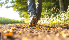 A low-angle view of a person hiking along a dirt path covered with autumn leaves.
