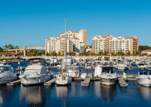 Many boats and yachts docked at a marina in front of large waterfront resort buildings.