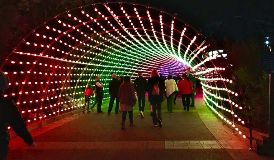 The Great Christmas Light Show in Myrtle Beach with visitors walking through a colorful light tunnel.
