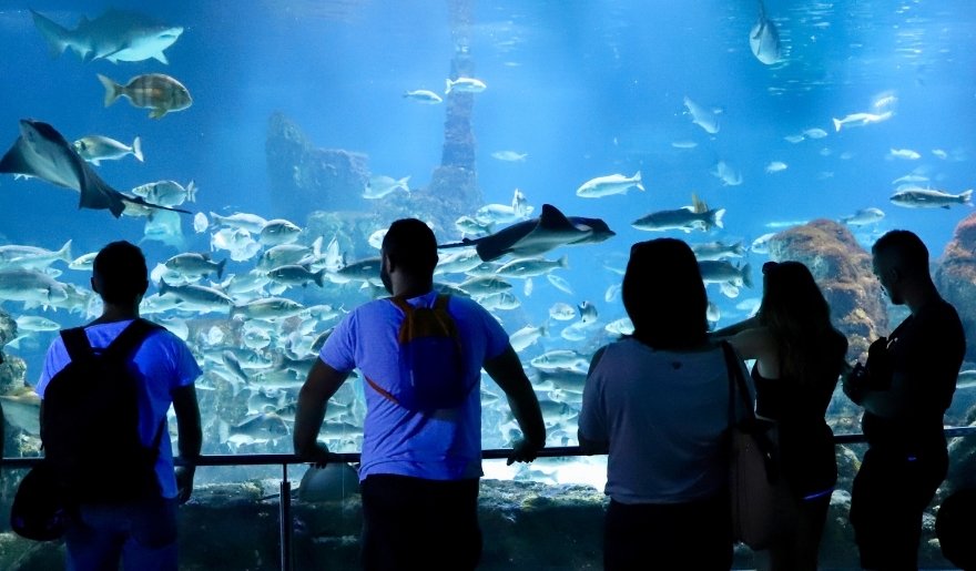Ripley’s Aquarium in Myrtle Beach with visitors viewing sharks and colorful fish.